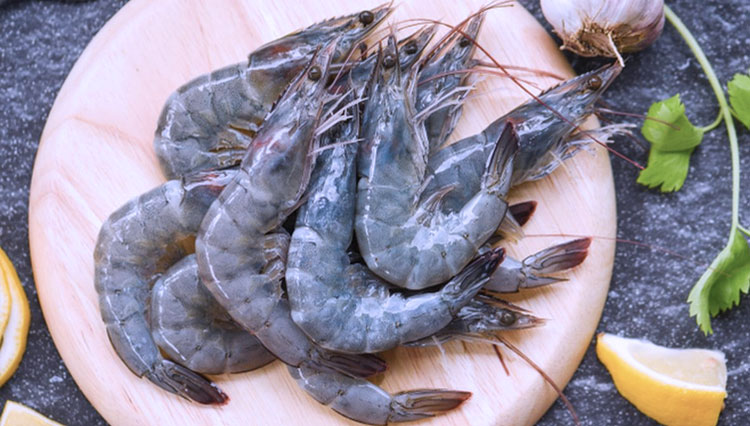 Udang Segar